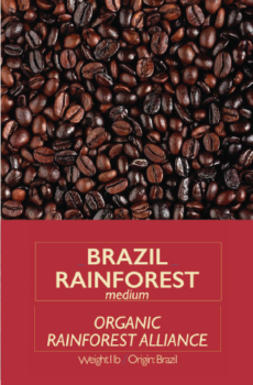 Brazil Rainforest Medium